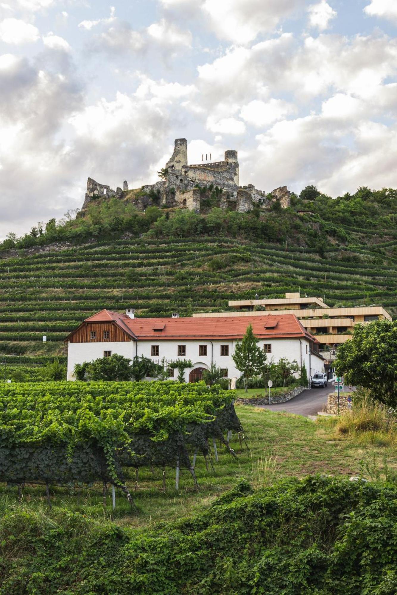 Weinhaus Nigl - Hotel, Restaurant Und Spa Зенфтенберг Экстерьер фото